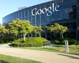 A bird sitting on a nest of eggs.