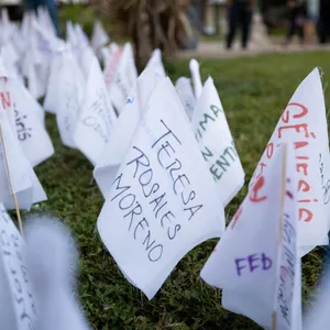 A bird sitting on a nest of eggs.