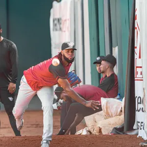 A bird sitting on a nest of eggs.