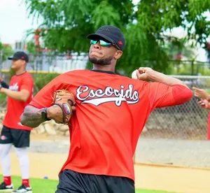 A bird sitting on a nest of eggs.