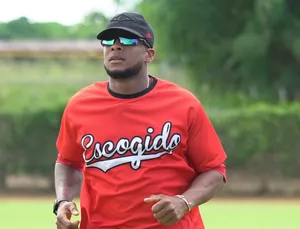 A bird sitting on a nest of eggs.