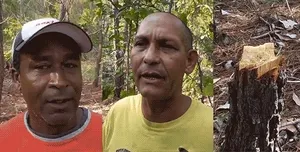 A bird sitting on a nest of eggs.