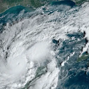 A bird sitting on a nest of eggs.