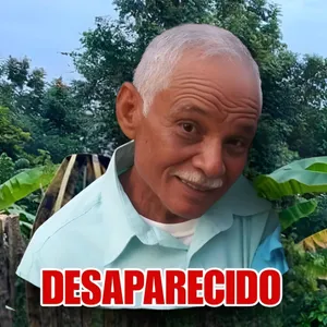 A bird sitting on a nest of eggs.