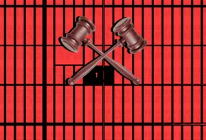 A bird sitting on a nest of eggs.