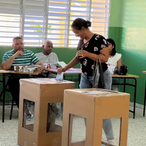 A bird sitting on a nest of eggs.