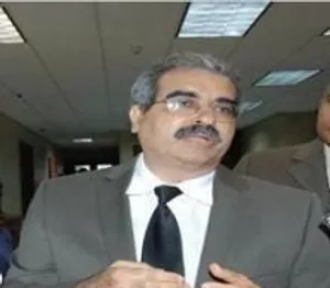 A bird sitting on a nest of eggs.