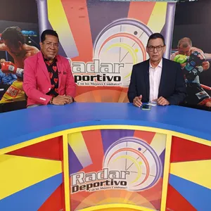 A bird sitting on a nest of eggs.