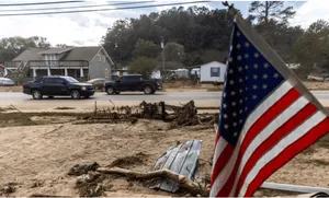 A bird sitting on a nest of eggs.