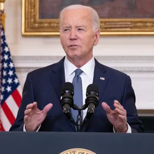 A bird sitting on a nest of eggs.