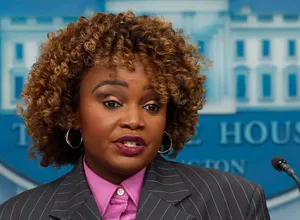 A bird sitting on a nest of eggs.