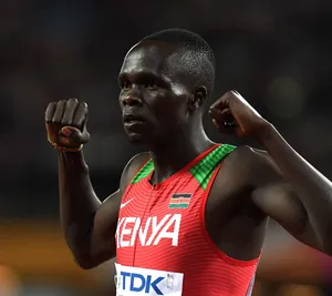 A bird sitting on a nest of eggs.