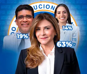 A bird sitting on a nest of eggs.