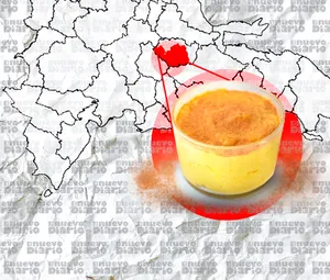 A bird sitting on a nest of eggs.