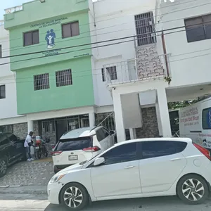 A bird sitting on a nest of eggs.