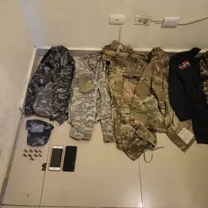 A bird sitting on a nest of eggs.