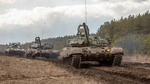 A bird sitting on a nest of eggs.