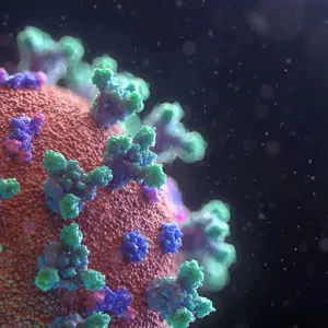 A bird sitting on a nest of eggs.