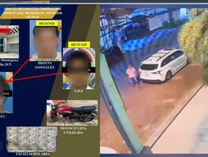 A bird sitting on a nest of eggs.