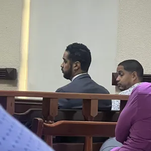 A bird sitting on a nest of eggs.