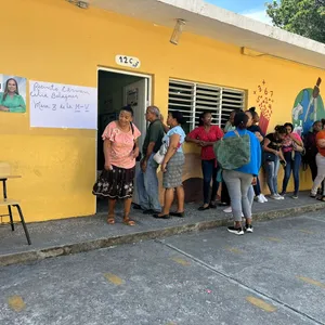 A bird sitting on a nest of eggs.