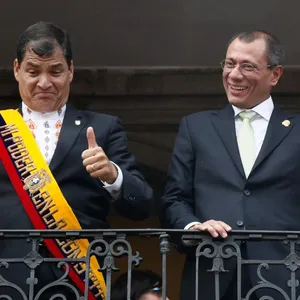 A bird sitting on a nest of eggs.