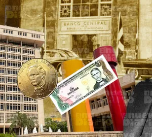 A bird sitting on a nest of eggs.