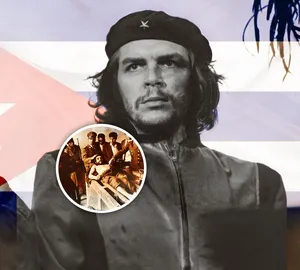 A bird sitting on a nest of eggs.