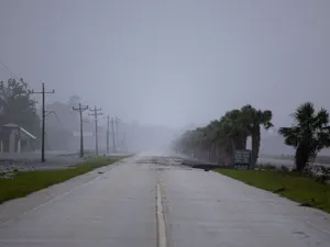 A bird sitting on a nest of eggs.