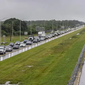A bird sitting on a nest of eggs.
