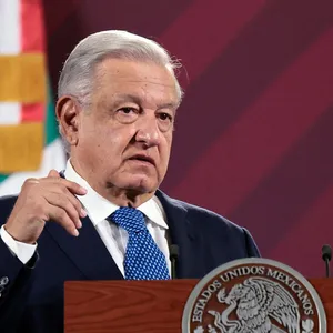 A bird sitting on a nest of eggs.