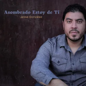 A bird sitting on a nest of eggs.