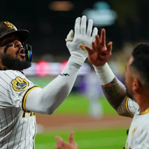 A bird sitting on a nest of eggs.